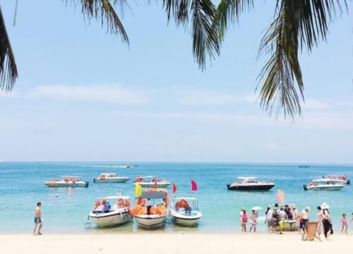 Cham Island Sightseeing and Snorkeling Tour