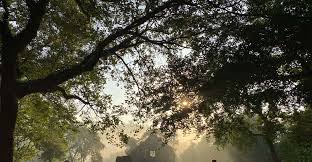 My Son Early Morning Tour from Hoi An